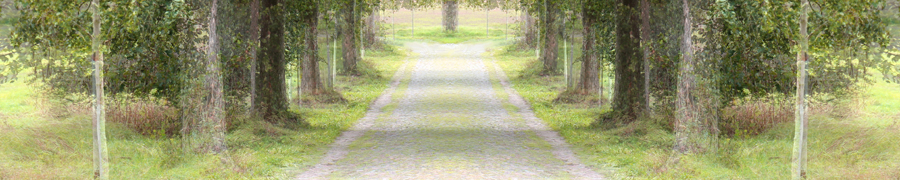 allee